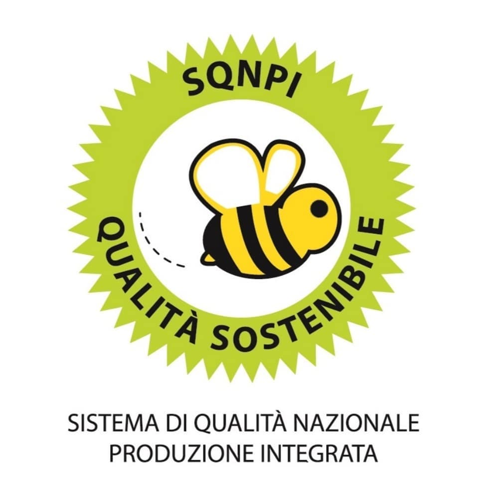 CERTIFICAZIONE SQNPI